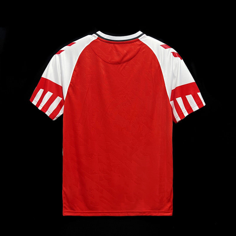 Denmark Home Jersey 23/24