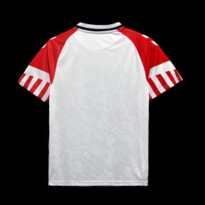 Denmark Away Jersey 23/24