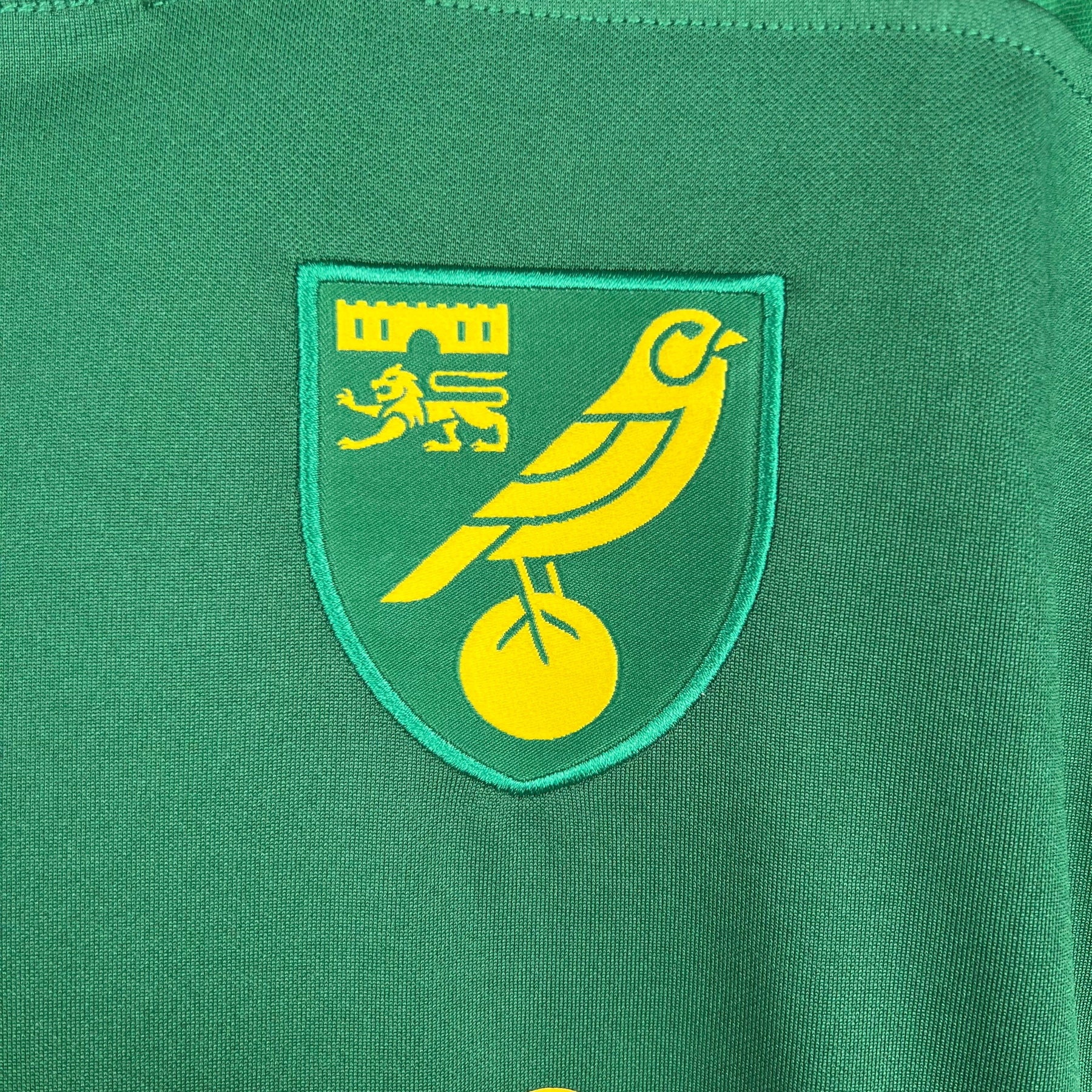 Norwich Away Jersey 23/24