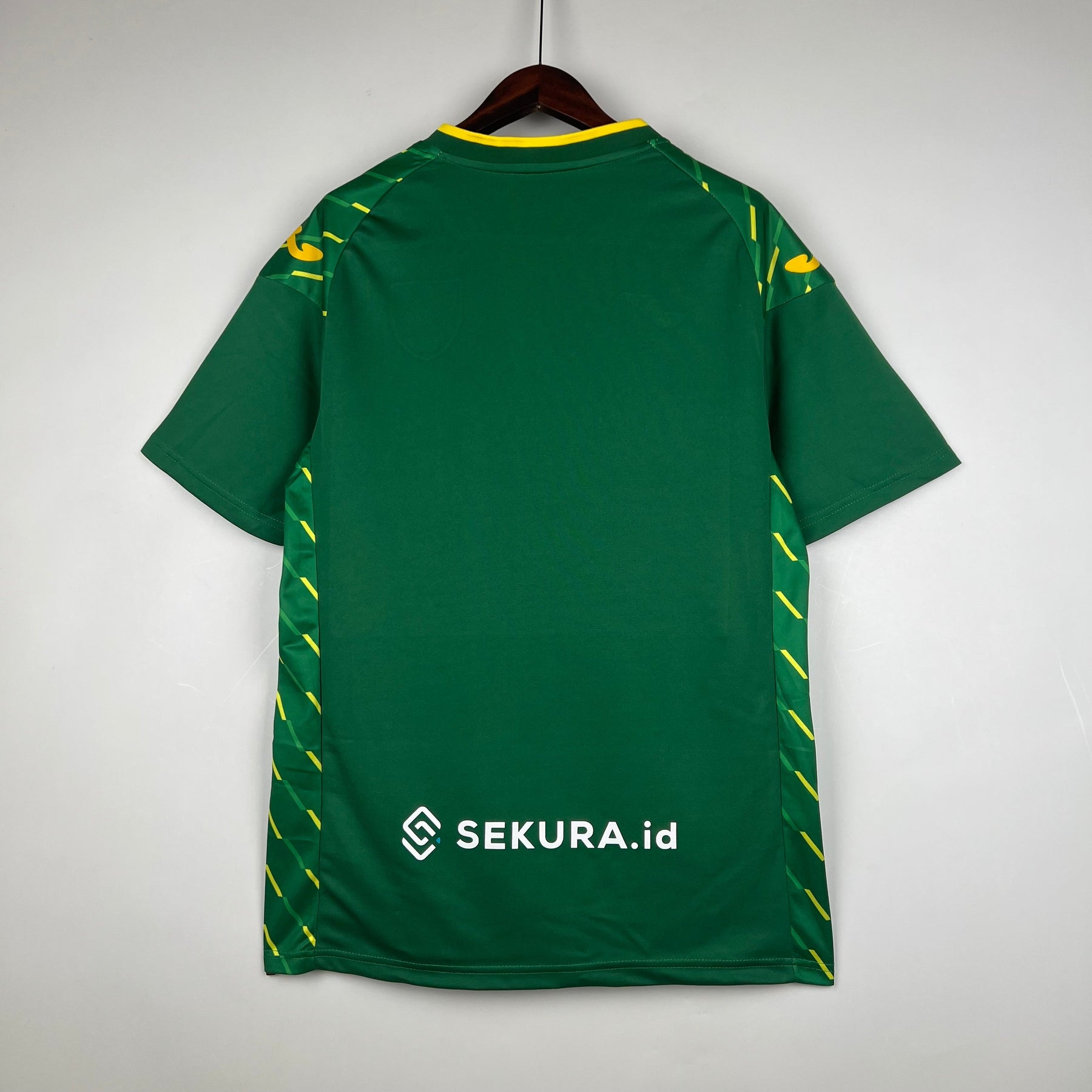 Norwich Away Jersey 23/24