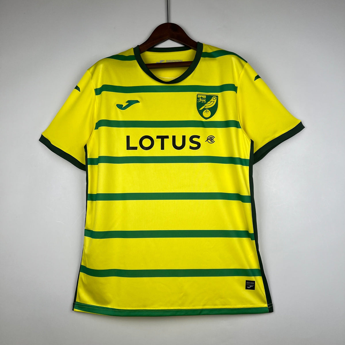 Norwich Home Jersey 23/24