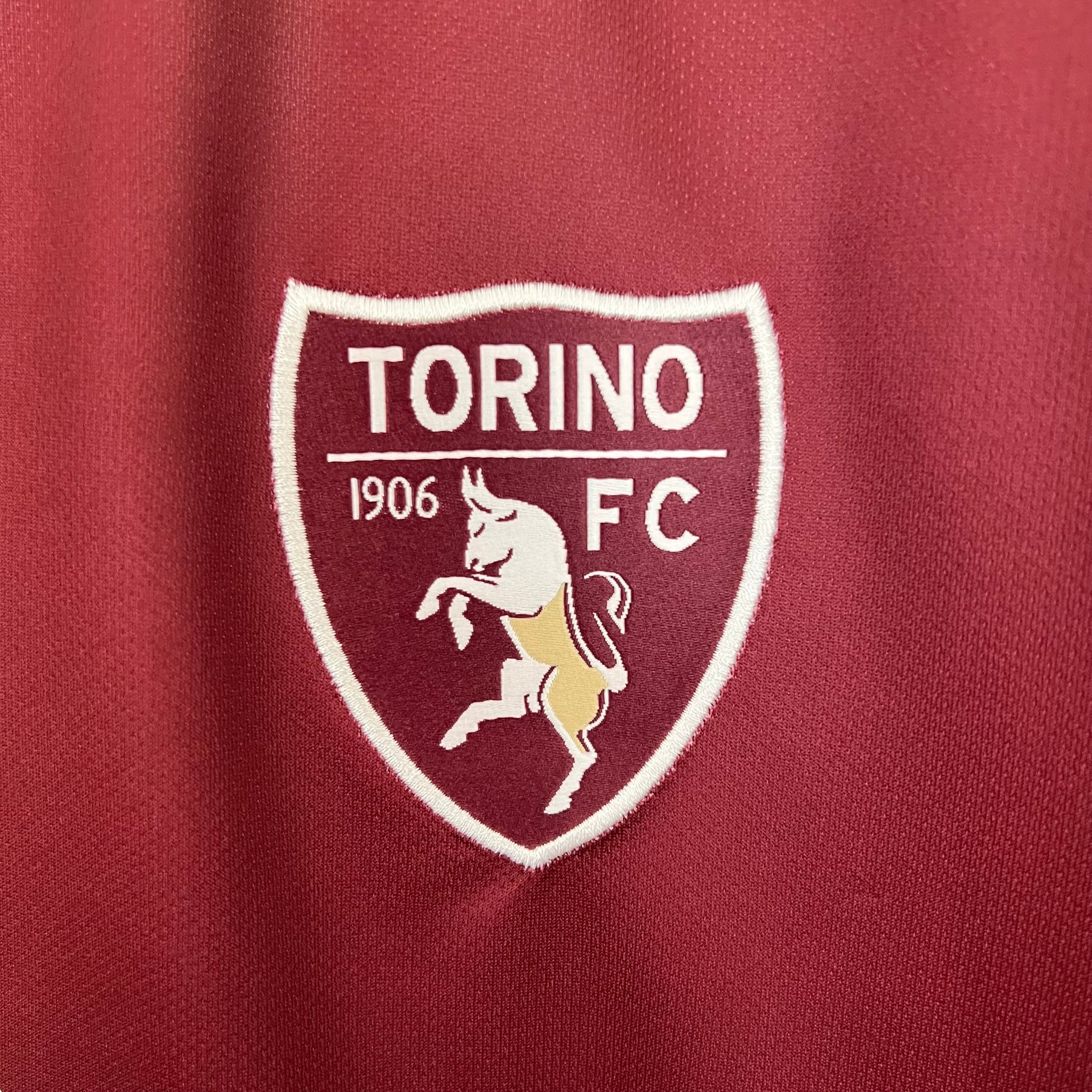 Torino Home Jersey 23/24