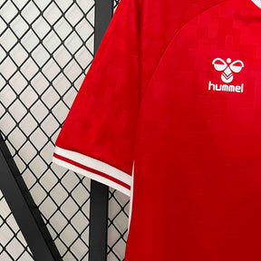 Denmark Home Jersey 2024