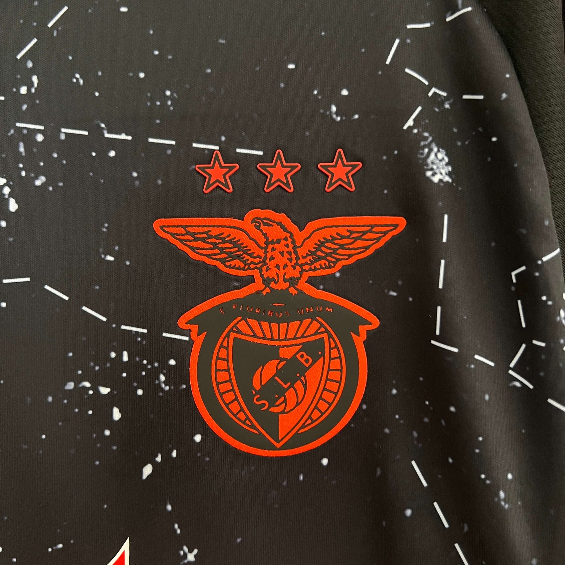 Benfica Away Jersey 24/25